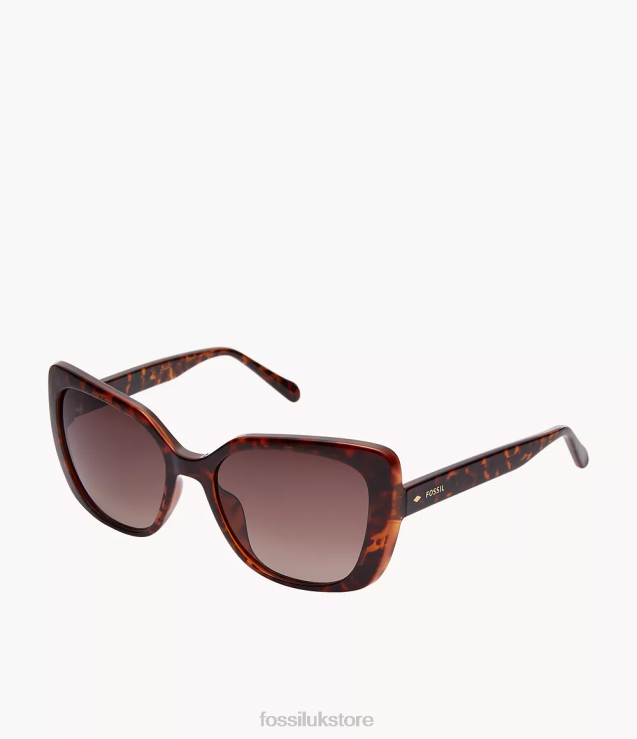 Accessory 2N02H1989 Brown Women Fossil Cate Square Sunglasses