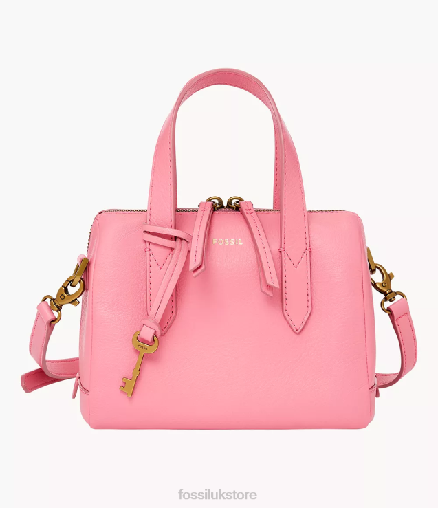 Bag 2N02H740 Pink Women Fossil Sydney Mini Satchel