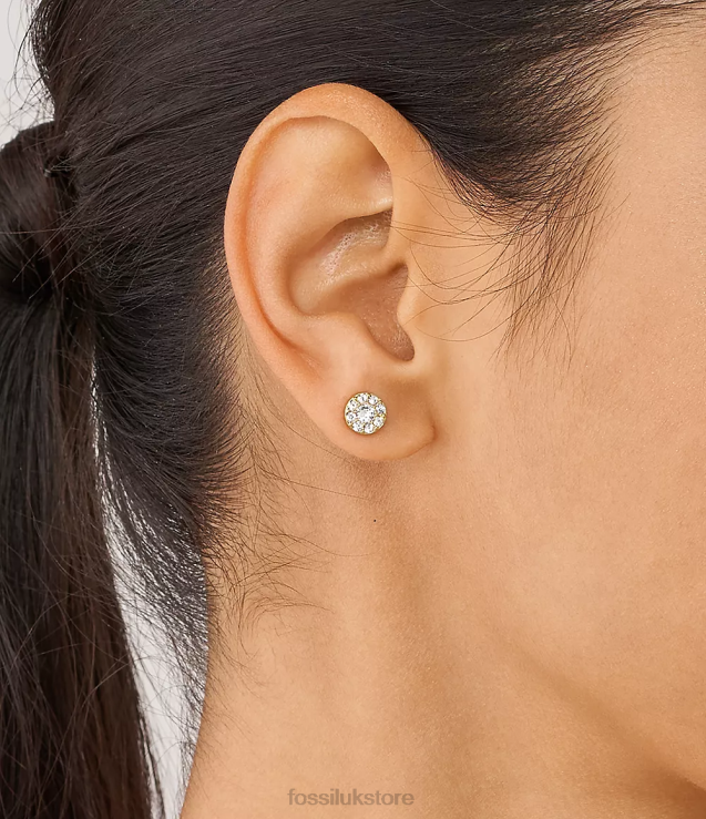 Jewelry 2N02H1078 Gold-Tone Women Fossil All Stacked Up Stainless Steel Stud Earrings