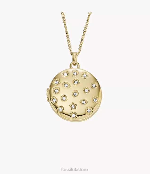 Jewelry 2N02H901 Gold-Tone Women Fossil Locket Collection Stainless Steel Chain Necklace