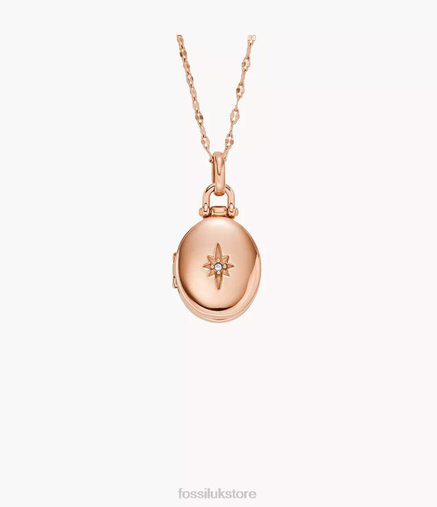 Jewelry 2N02H910 Rose Gold-Tone Women Fossil Locket Collection Stainless Steel Chain Necklace