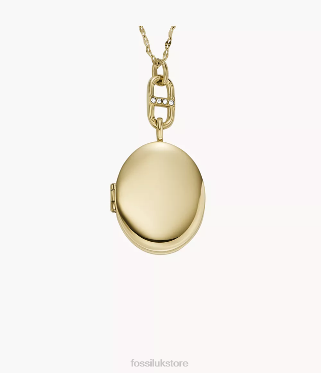 Jewelry 2N02H959 Gold-Tone Women Fossil Locket Collection Stainless Steel Chain Necklace