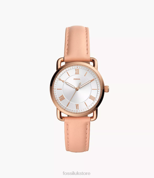 Watch 2N02H108 Nude Women Fossil Copeland Three-Hand Leather Watch