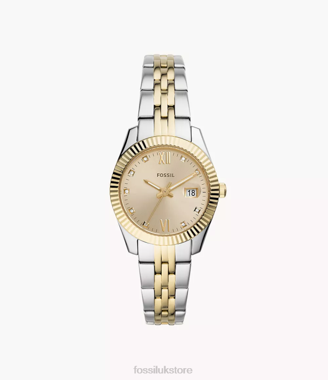 Watch 2N02H41 Two-Tone Women Fossil Scarlette Mini Three-Hand Date Stainless Steel Watch