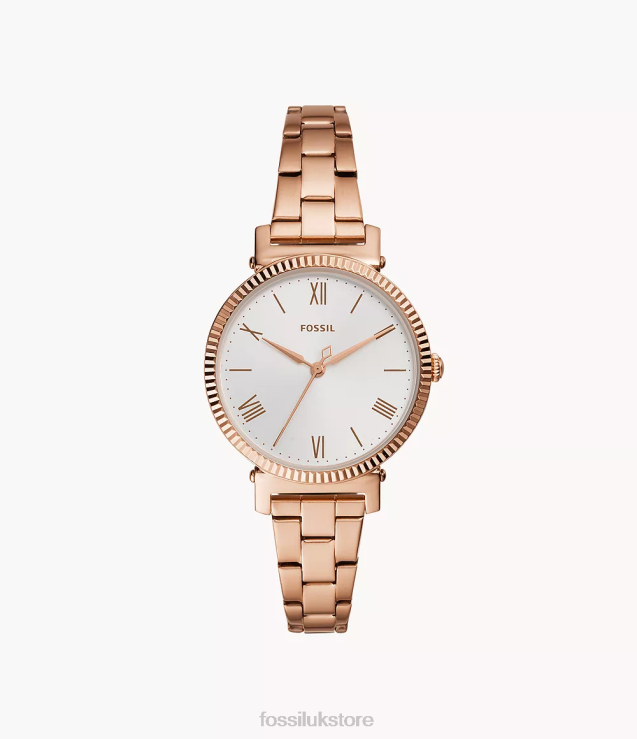Watch 2N02H61 Rose Gold-Tone Women Fossil Daisy Three-Hand Stainless Steel Watch